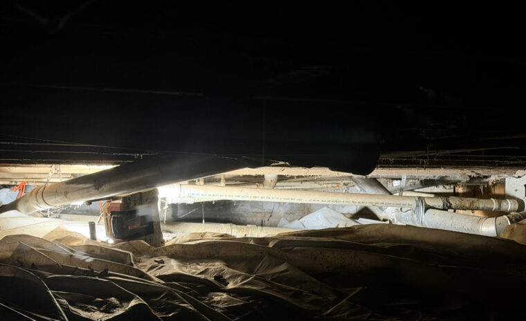 Close-up of bathtub P-trap and shared branch drain piping under subfloor framing.