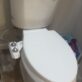 toilet after wax ring replacement